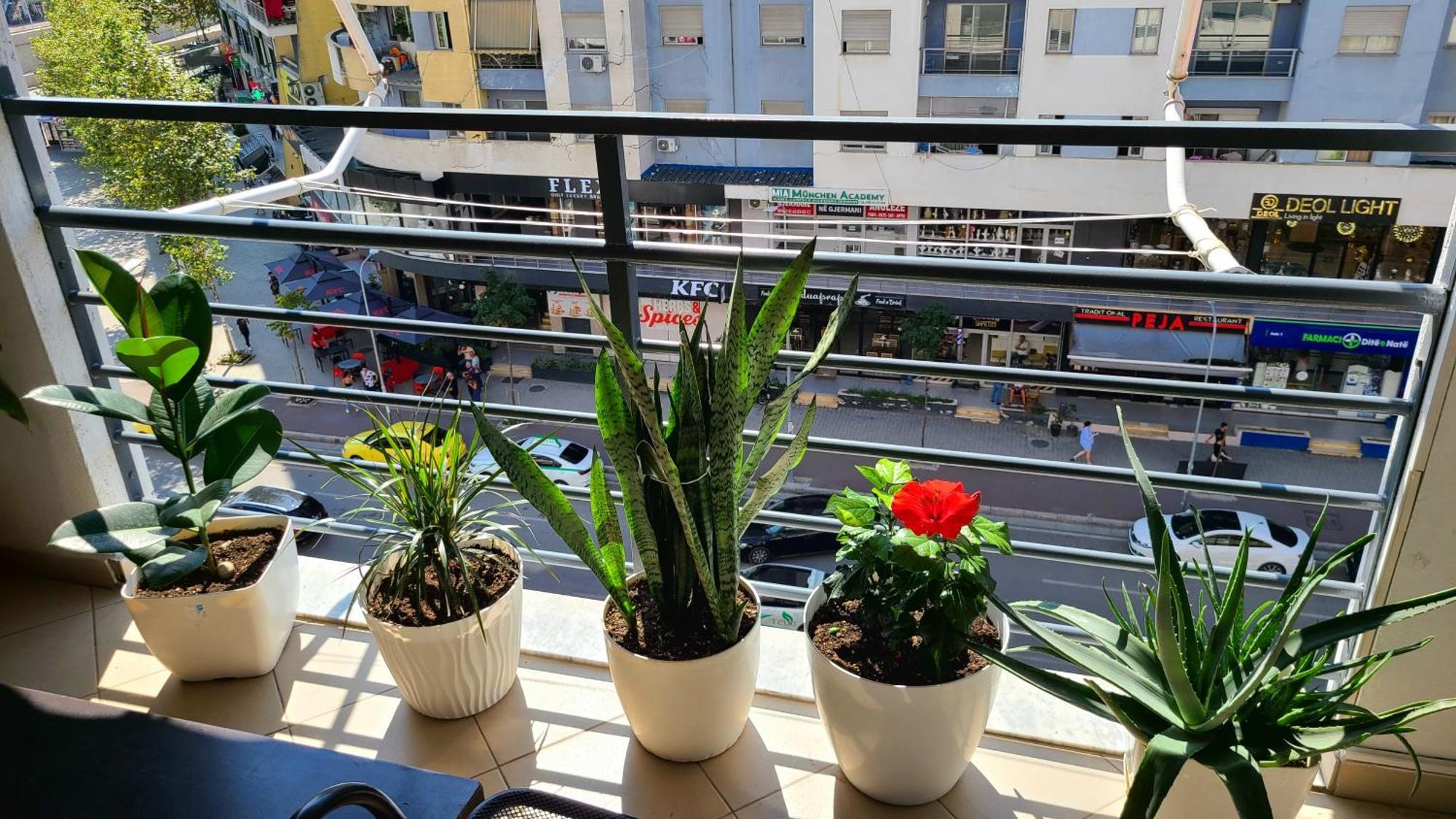 Marinela Apartment Тирана Екстериор снимка